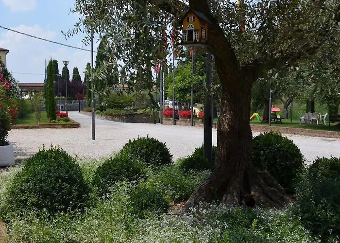 Ξενοδοχείο Olioso 3*